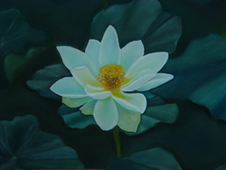 Lotus (pastel de Gervais Bourgué)